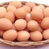 Organik köy yumurtası 20 krş adrese teslim  ilan Yiyecek İçecek