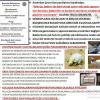 tavuk civciv güvercin hastalıkları için dezenfektan Resim