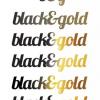 black&gold firmamıza saha satış elemanı aramaktayız Resim